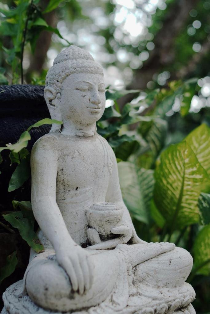 Sattva Yoga Retreat Villas 坎古 外观 照片